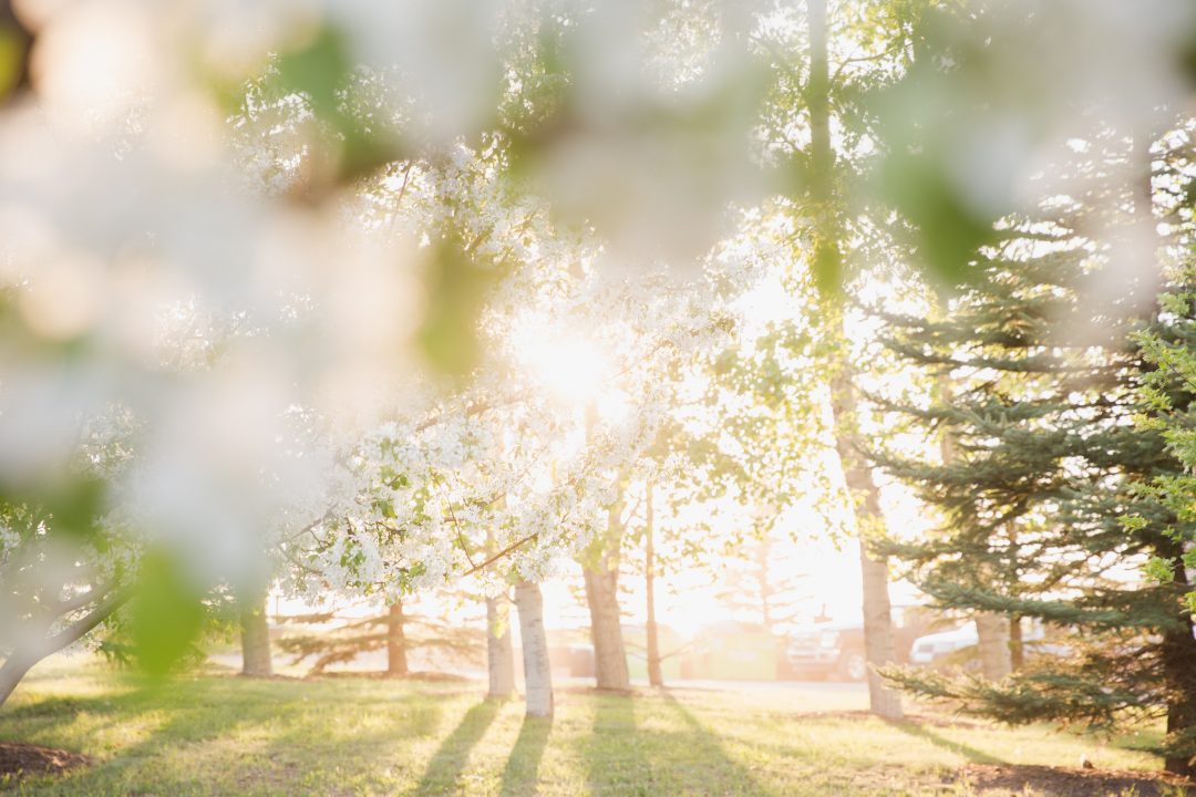 jackie-hutchinson-gEP7FhPx-SE-unsplash